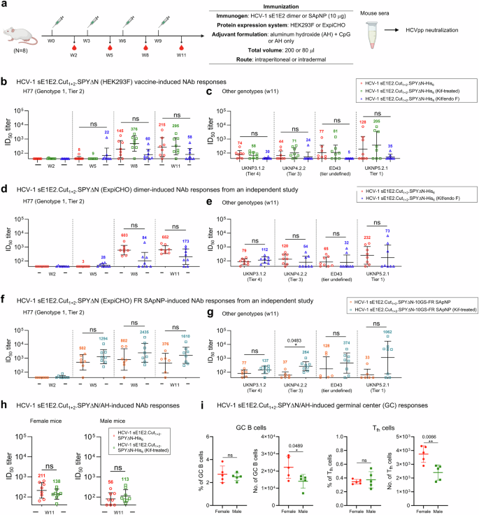 Fig. 7: Effect of expression system, immunization route, and sex on antibody responses elicited by HCV-1 sE1E2.Cut1+2.SPYΔN vaccines.