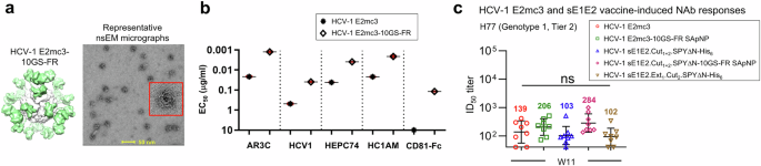 Fig. 8: Comparison of HCV-1 E2mc3 and sE1E2.Cut1+2.SPYΔN vaccine-induced neutralizing antibody responses.