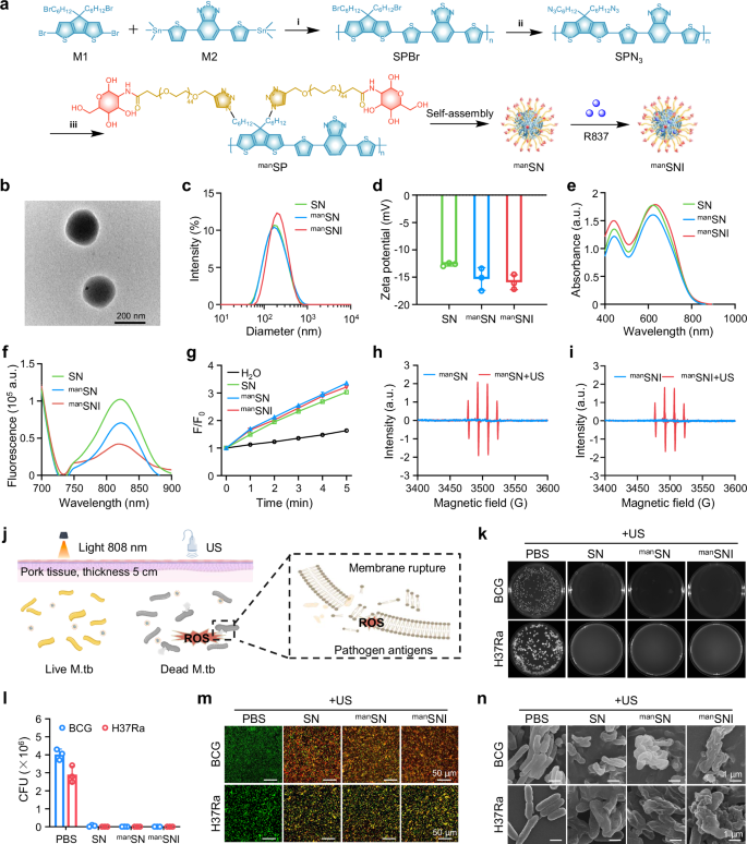Fig. 3: Preparation and in vitro anti-M.tb activity of manSNI.