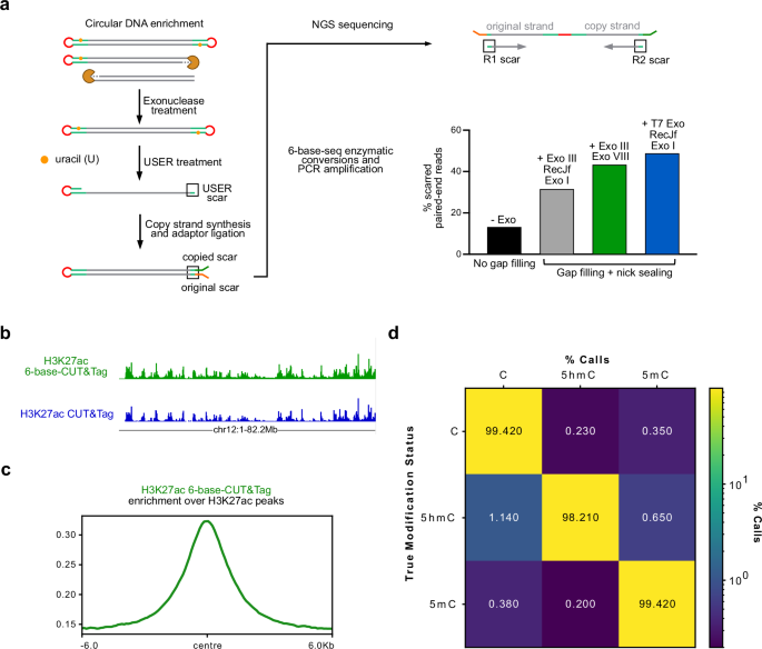Fig. 2: 6-base-CUT&Tag implementation and benchmarking.