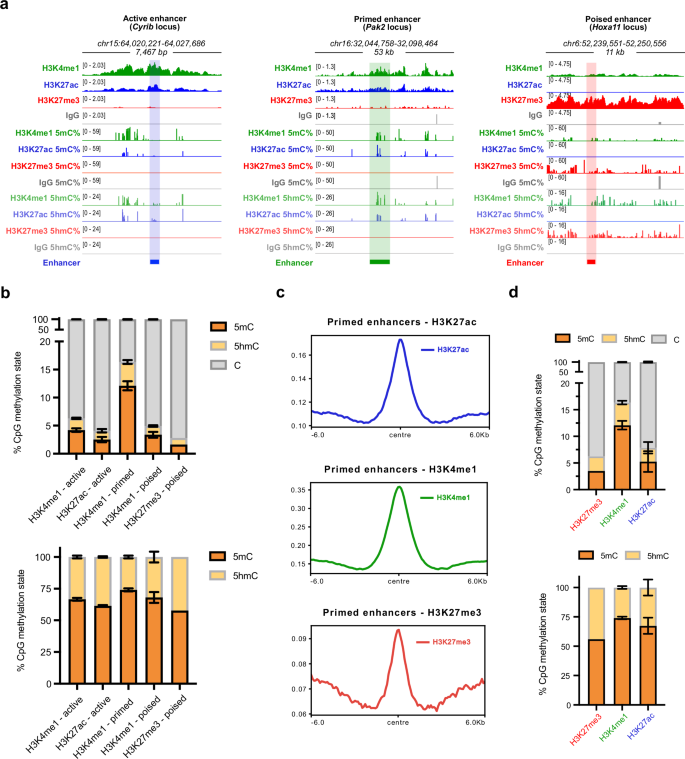 Fig. 3: Histone mark-specific 5mC and 5hmC signatures define different mESC enhancer states.