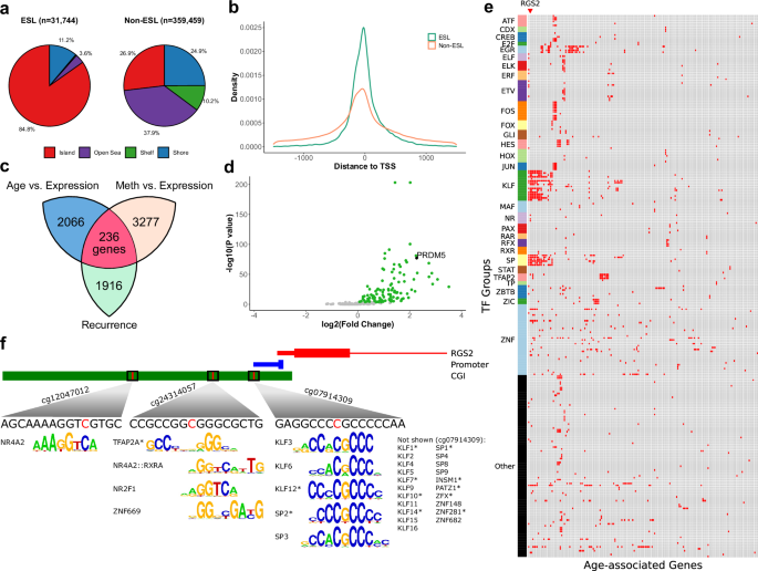 Fig. 7: DNA methylation instability at promoter regions and its impact on gene expression.