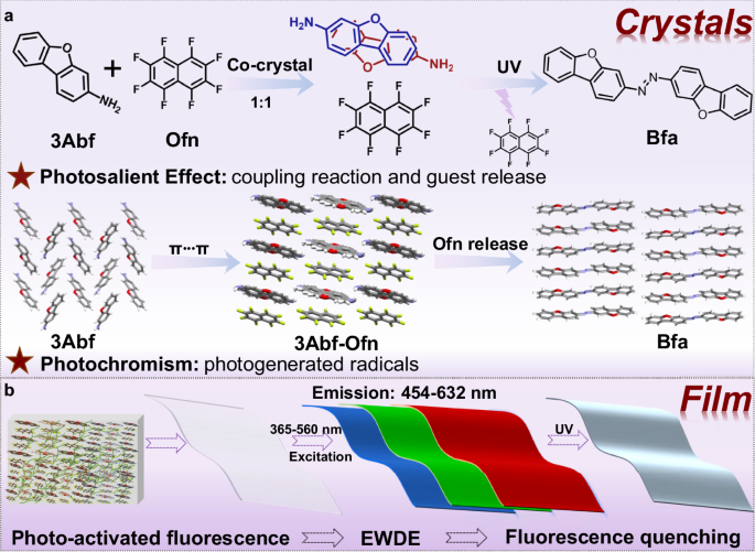 Fig. 1: Schematic illustration of 3Abf-Ofn cocrystal and 3Abf-Ofn@PMMA film.