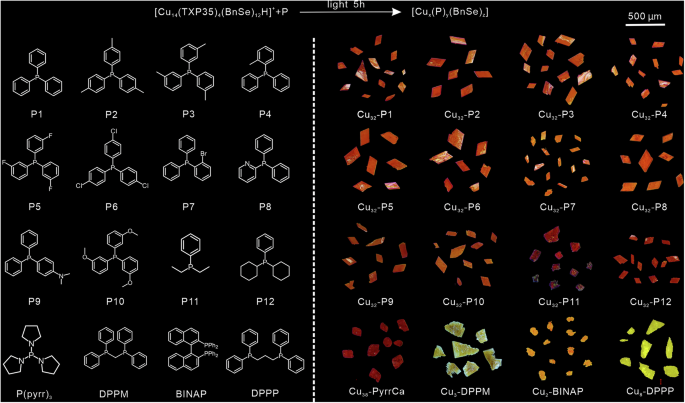 Fig. 3: The phosphine ligands used in photosynergetic ligand-exchange transformation of Cu14 and corresponding products.