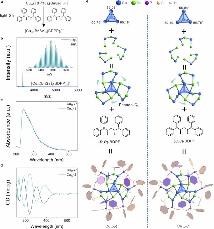 Fig. 6: The synthesis and characterization of the Cu10-R/S clusters.