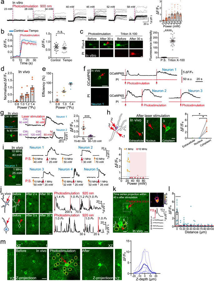 Fig. 2: Verification of photostimulation safety to neurons.
