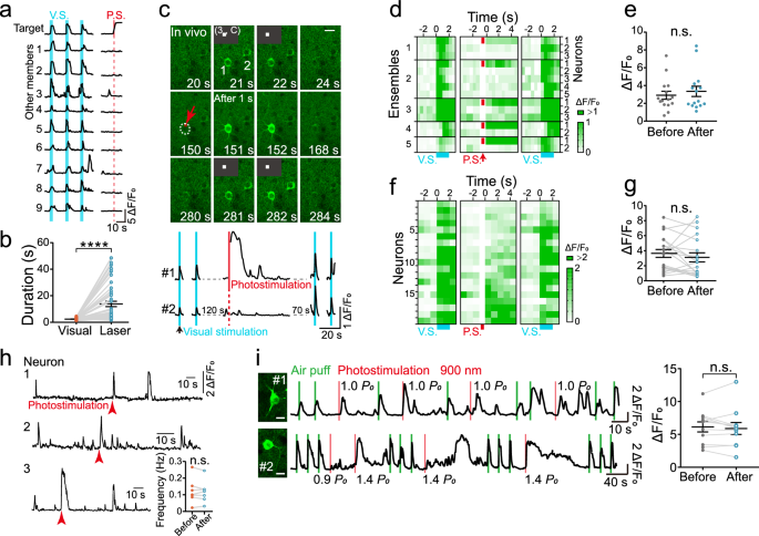 Fig. 4: In vivo single-neuron activation by targeted photostimulation.
