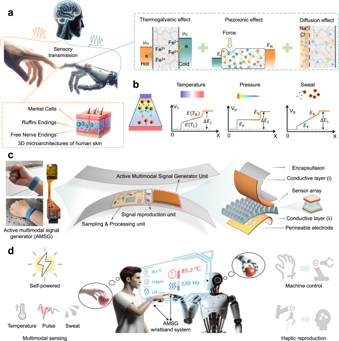 Fig. 1: Rational design of a PVA hydrogel e-skin and its integration into an AMSG wristband interface.