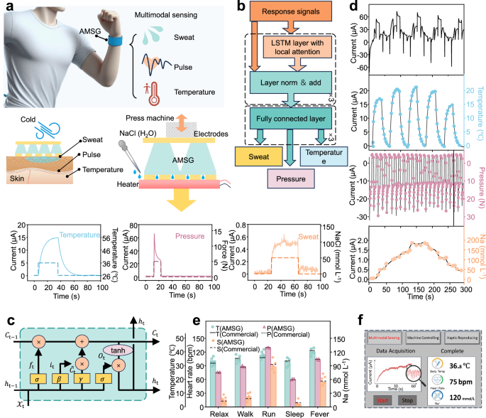 Fig. 4: Multimodal physiological sensing decoupled via a machine learning model.