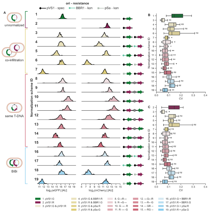 Fig. 2: Comparison of three discrete methods to deliver normalizing reporters.