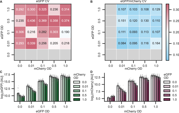 Fig. 3: OD600 of two co-infiltrated strains affects transgene expression strength but not variability.