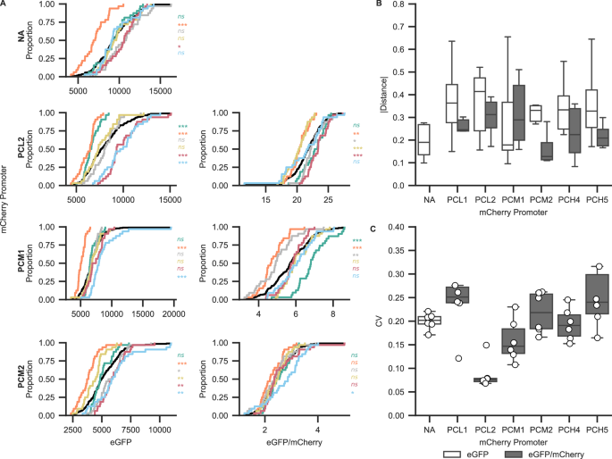 Fig. 5: Promoter choice affects variation between experimental replicates.