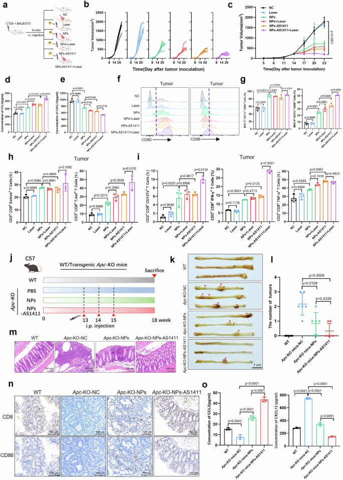 Fig. 6: NPs significantly inhibited CRC growth by the synergistic therapeutic strategy.