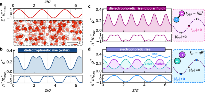 Fig. 2: Reorganization of fluids under non-uniform electric fields.