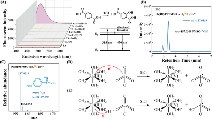 Fig. 3: Experimental evidence supporting hydroxyl radical generation and single-electron transfer pathways in the Os(III)/PI system.