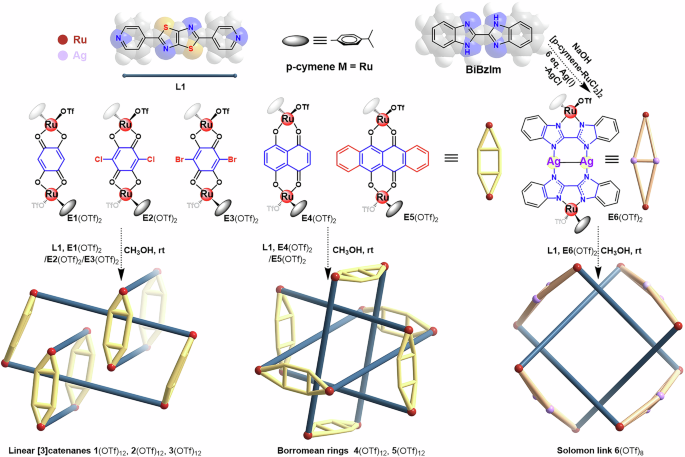 Fig. 1: Synthesis of compounds 1(OTf)12, 2(OTf)12, 3(OTf)12, 4(OTf)12, 5(OTf)12, and 6(OTf)8.