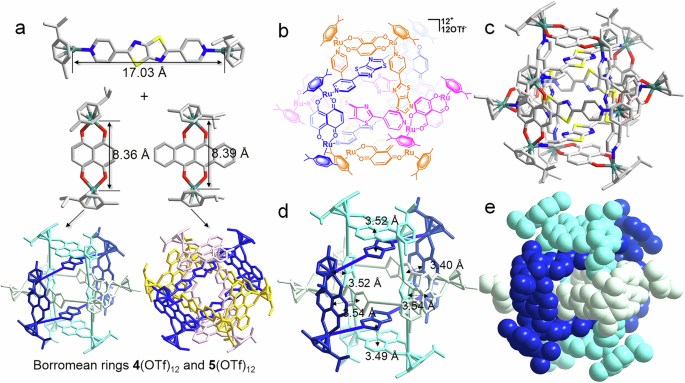 Fig. 3: The structures of Borromean rings.