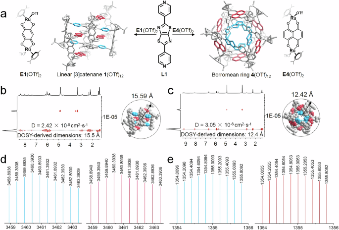 Fig. 4: NMR and ESI-TOF-MS experiments of compounds 1(OTf)12 and 4(OTf)12.