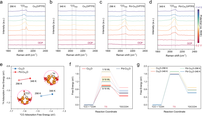 Fig. 5: Mechanism of elevated temperature-enhanced formation of C2+ products.
