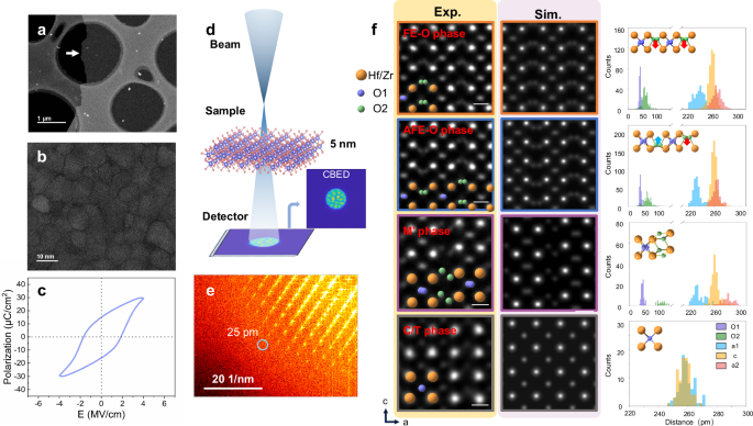 Fig. 1: Imaging atomic structures of HZO freestanding thin film.
