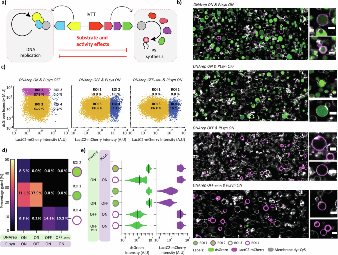 Fig. 4: Effects of turning a module ON and OFF on the activity of the other module.