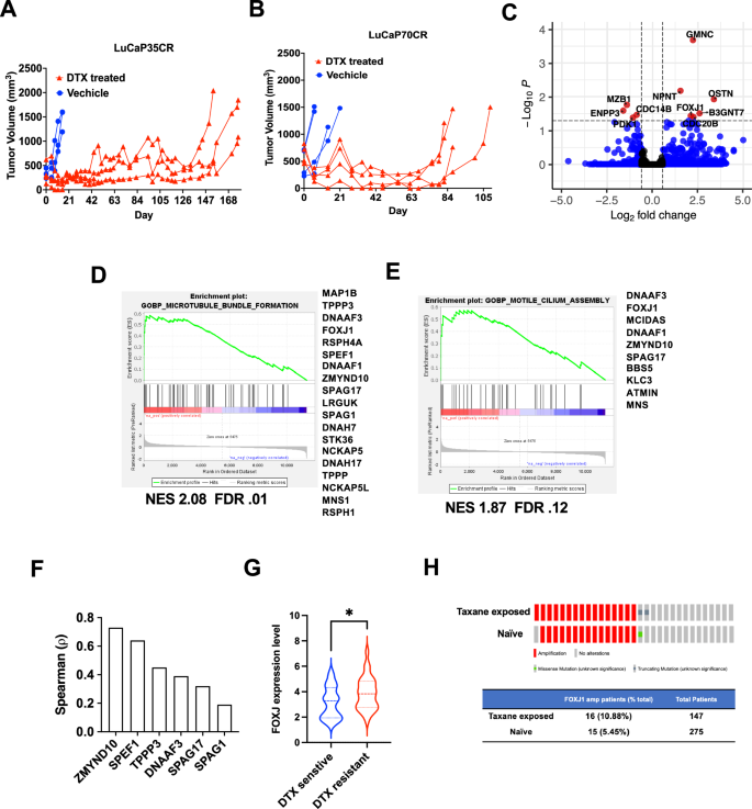 Fig. 1: RNA-seq analysis of resistance pathways in docetaxel-resistant tumors.