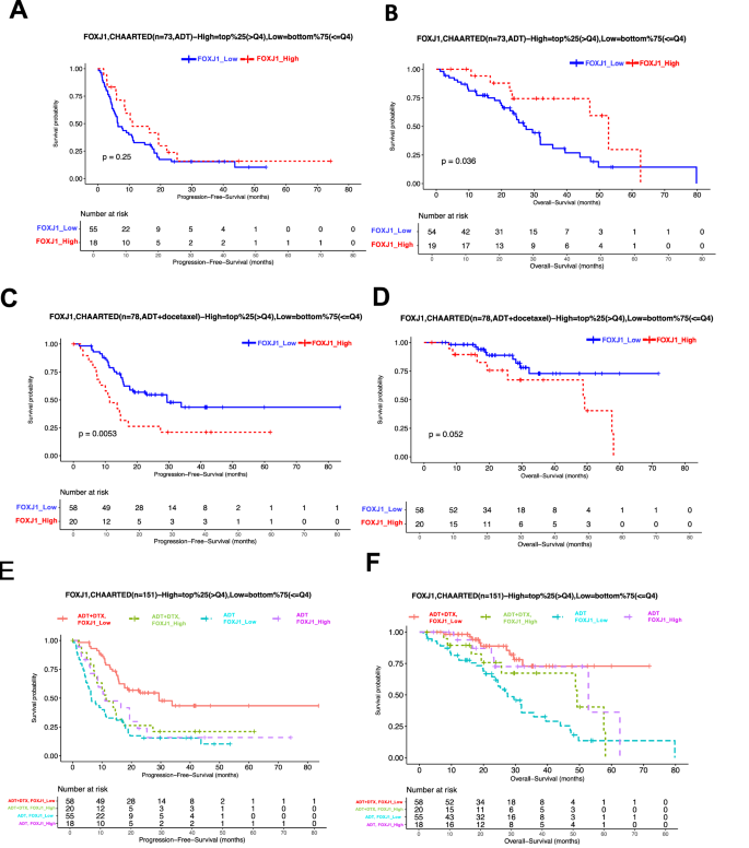 Fig. 7: Higher FOXJ1 in patient tumors is predictive of DTX resistance.