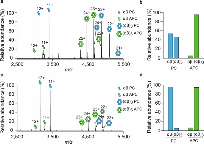 Fig. 1: Phycocyanin rods are intrinsically more dynamic than the allophycocyanin core.