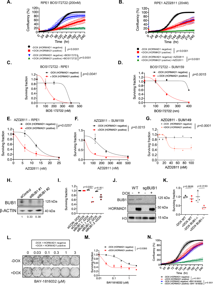 Fig. 6: HORMAD1 drives cellular sensitivity to MPS1 and Aurora B inhibition.