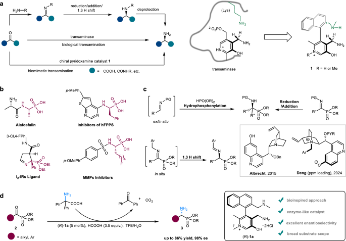Fig. 1: Asymmetric biomimetic transamination of α-keto phosphonates enabled by chiral pyridoxamine catalysts.