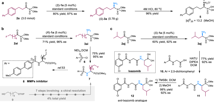 Fig. 3: Derivatization of α-aminophosphonates.