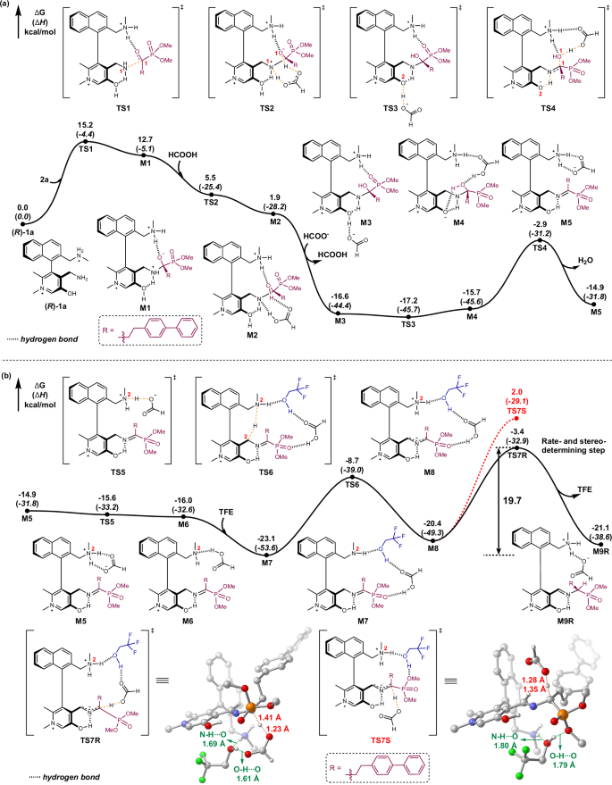 Fig. 5: Energy profiles and geometries of key transition states for the transamination of α-keto phosphonate.