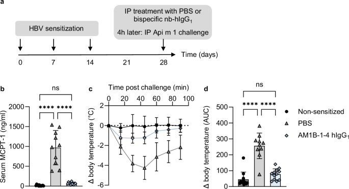 Fig. 7: Bispecific nb-hIgG1 reduces mast cell activation and anaphylaxis in vivo.