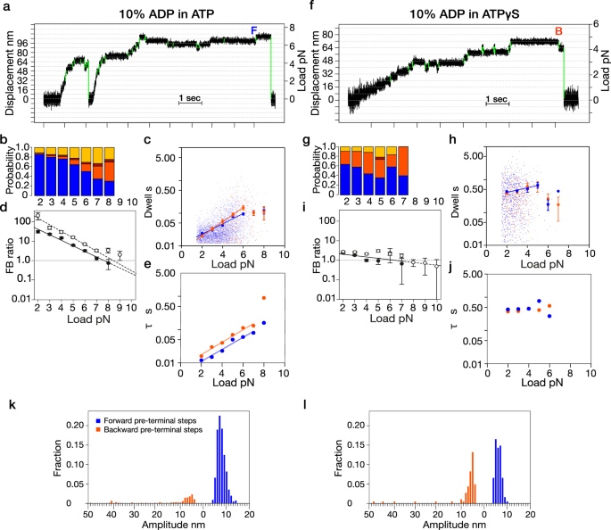 Fig. 5: Added ADP causes a pre-detachment 8 nm backstep in ATPγS but not in ATP.