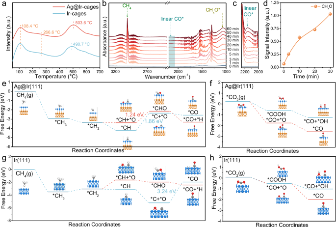 Fig. 5: Reaction pathway of DRM.