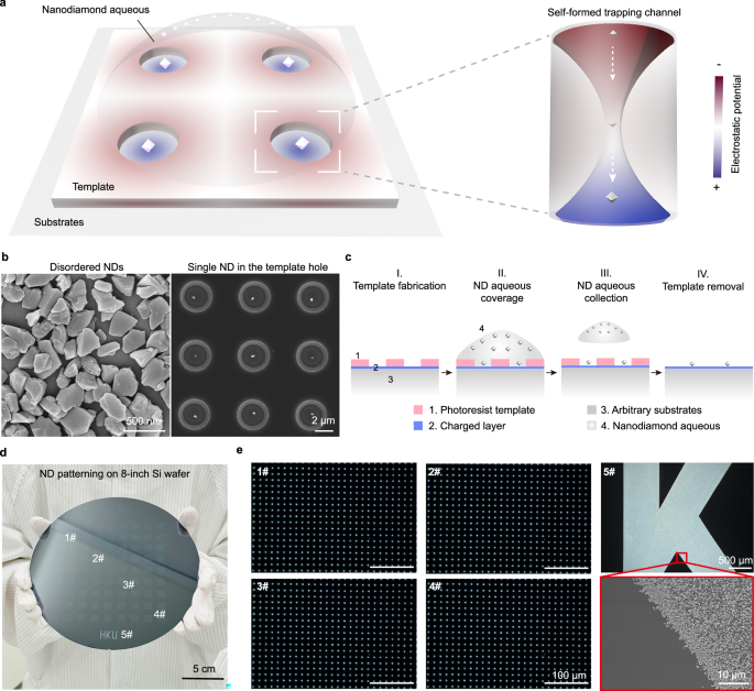 Fig. 1: Electrostatic trapping as a scalable method to produce clean and uniform ND arrays on CMOS-compatible substrates.