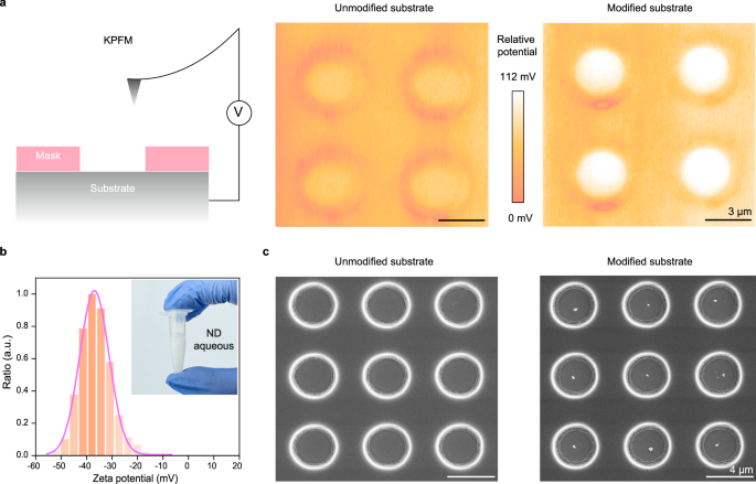 Fig. 2: ND trapping in template hole is driven by electrostatic absorption.