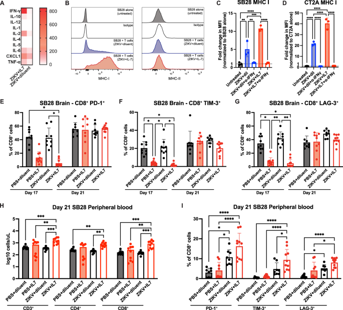 Fig. 5: rhIL-7-hyFc treatment improves T cell function in the immunosuppressive GBM microenvironment.