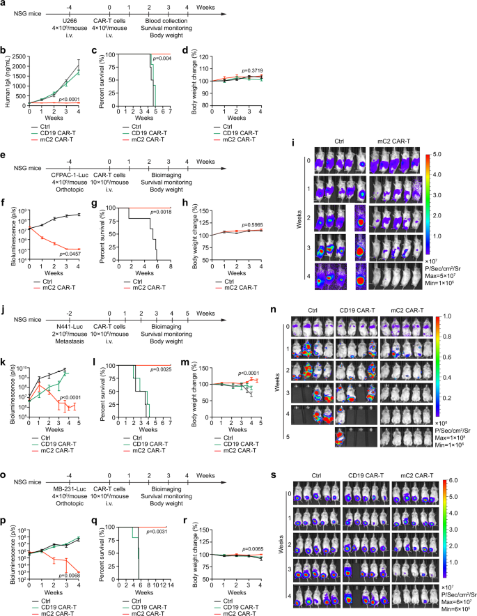 Fig. 3: In vivo anti-tumor effects of DKK1-A2 CAR-T cells in human tumor xenograft mouse models.