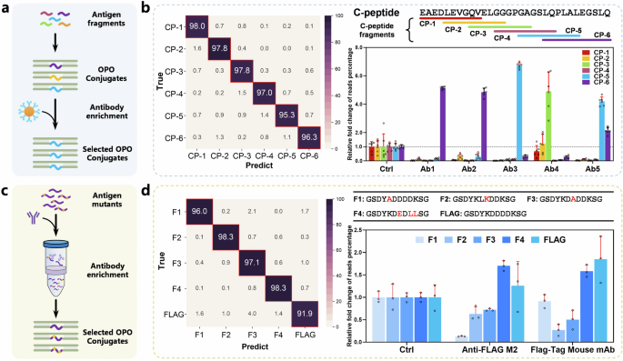 Fig. 4: Peptide identification.