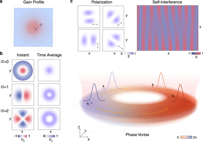Fig. 2: Collective oscillations and emission in gain-guided metacavity.