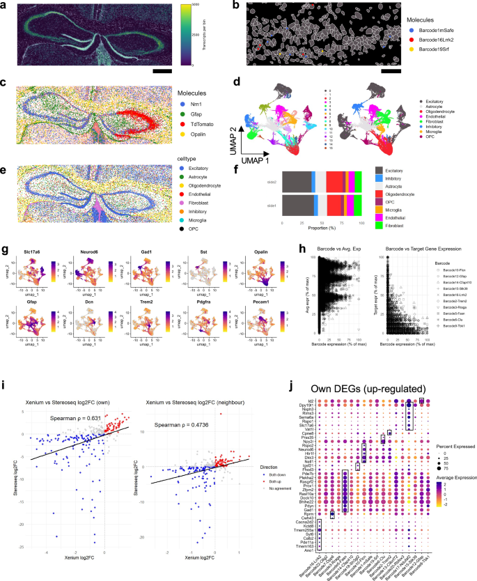 Fig. 3: Spatial perturb-seq with probe-based xenium.