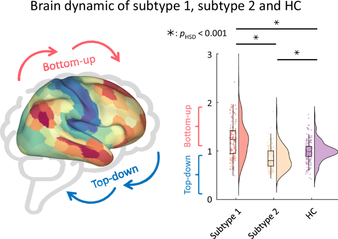 Fig. 2: Cortical dynamics of bottom-up flow in subtype 1, while top-down flow in subtype 2.