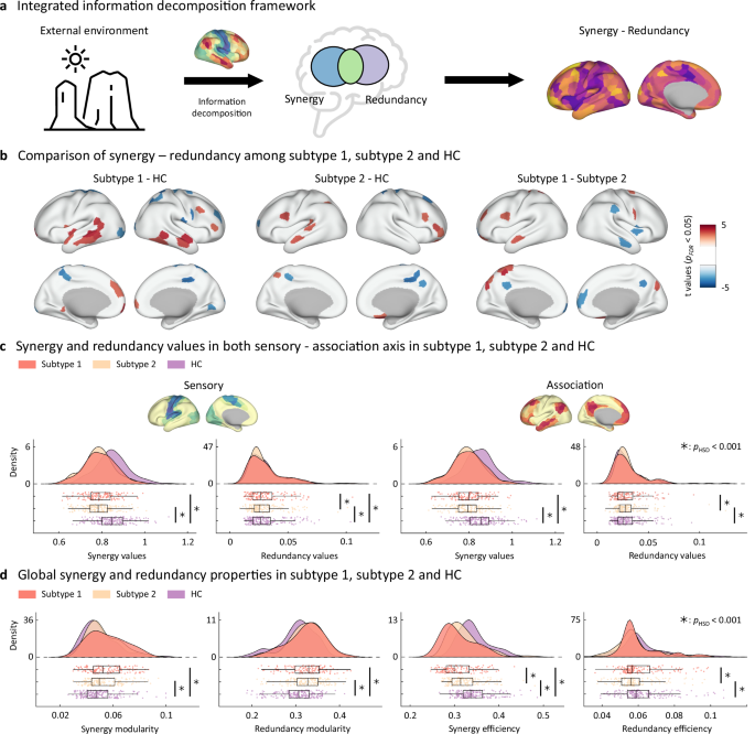 Fig. 3: Redundancy-synergy gradients reveal different neural information processing patterns in adolescent MDD subtypes.