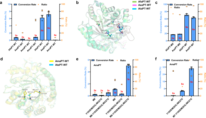 Fig. 4: Mechanism-guided design of PTs beyond AtaPT.