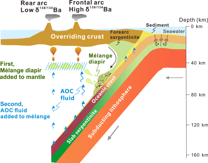 Fig. 6: A schematic diagram of the model showing the transfer mechanism of slab-derived materials in cold subduction zones.