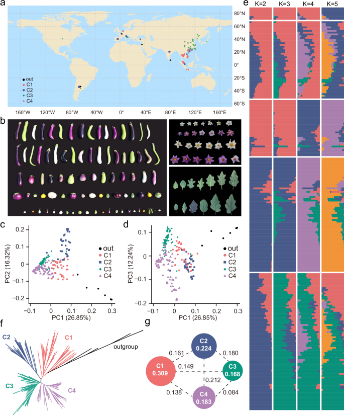 Fig. 1: Geographic distribution and genomic diversity of 226 eggplant accessions.