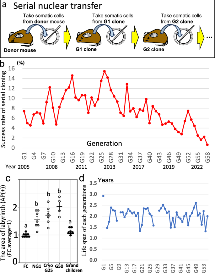 Fig. 1: Success rate of mouse serial cloning and their life span.