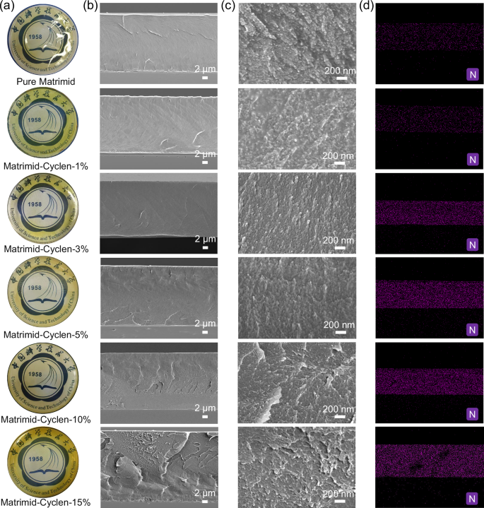 Fig. 2: SEM images of the Matrimid-Cyclen membranes.