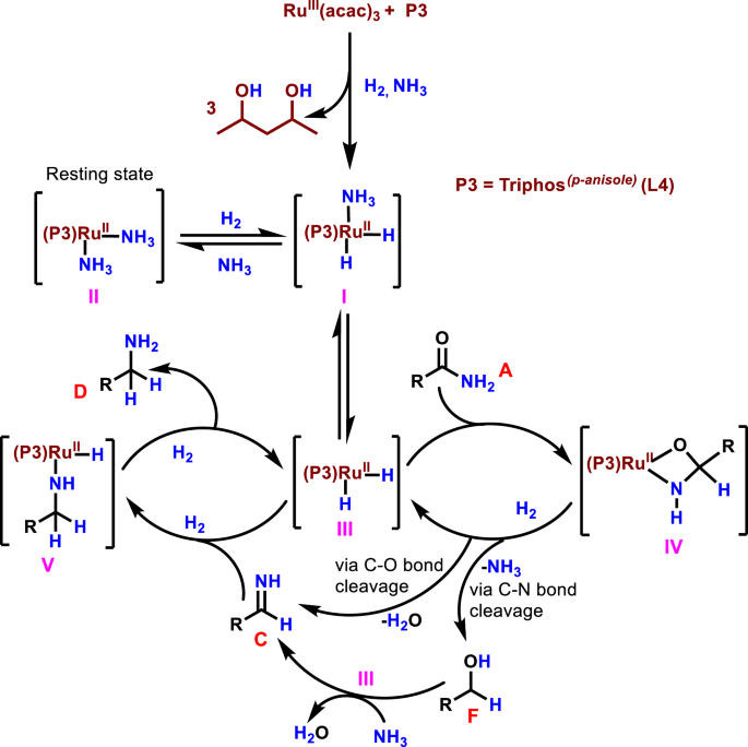 Fig. 10: Proposed catalytic cycle for the Ru-L4-catalyzed hydrogenation of primary amides to primary amines.
